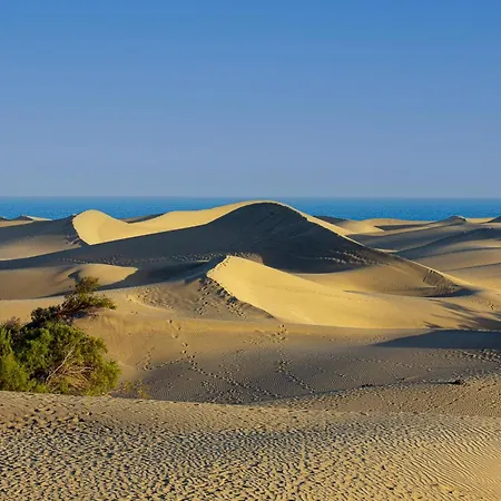 アパート Soundproof With Sea View In Maspalomas プラヤ・デル・イングレス